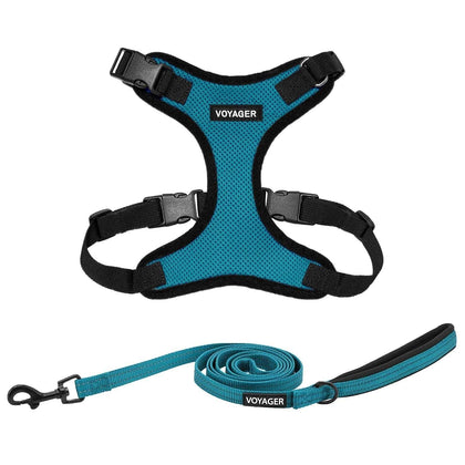 Step-In Lock Harness & Leash Combo Set