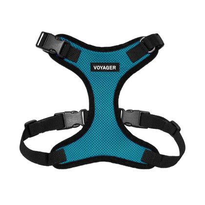 Step-In Lock Harness & Leash Combo Set