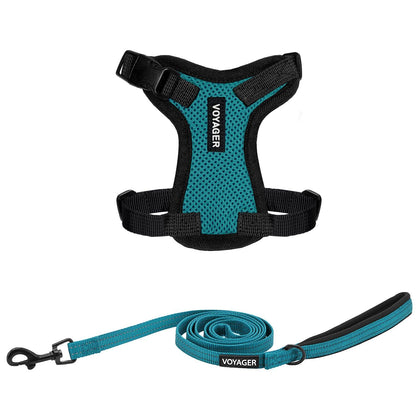 Step-In Lock Harness & Leash Set - VOYAGER Dog Harnesses