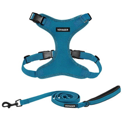Step-In Lock Harness & Leash Combo Set - Matching Trim