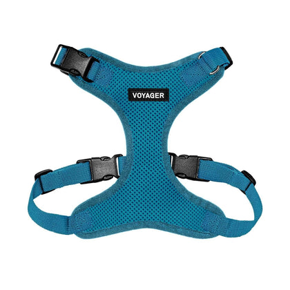 Step-In Lock Harness & Leash Combo Set - Matching Trim