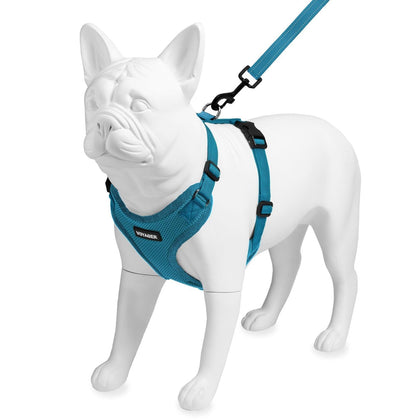 Step-In Lock Harness & Leash Combo Set - Matching Trim - VOYAGER Dog Harnesses