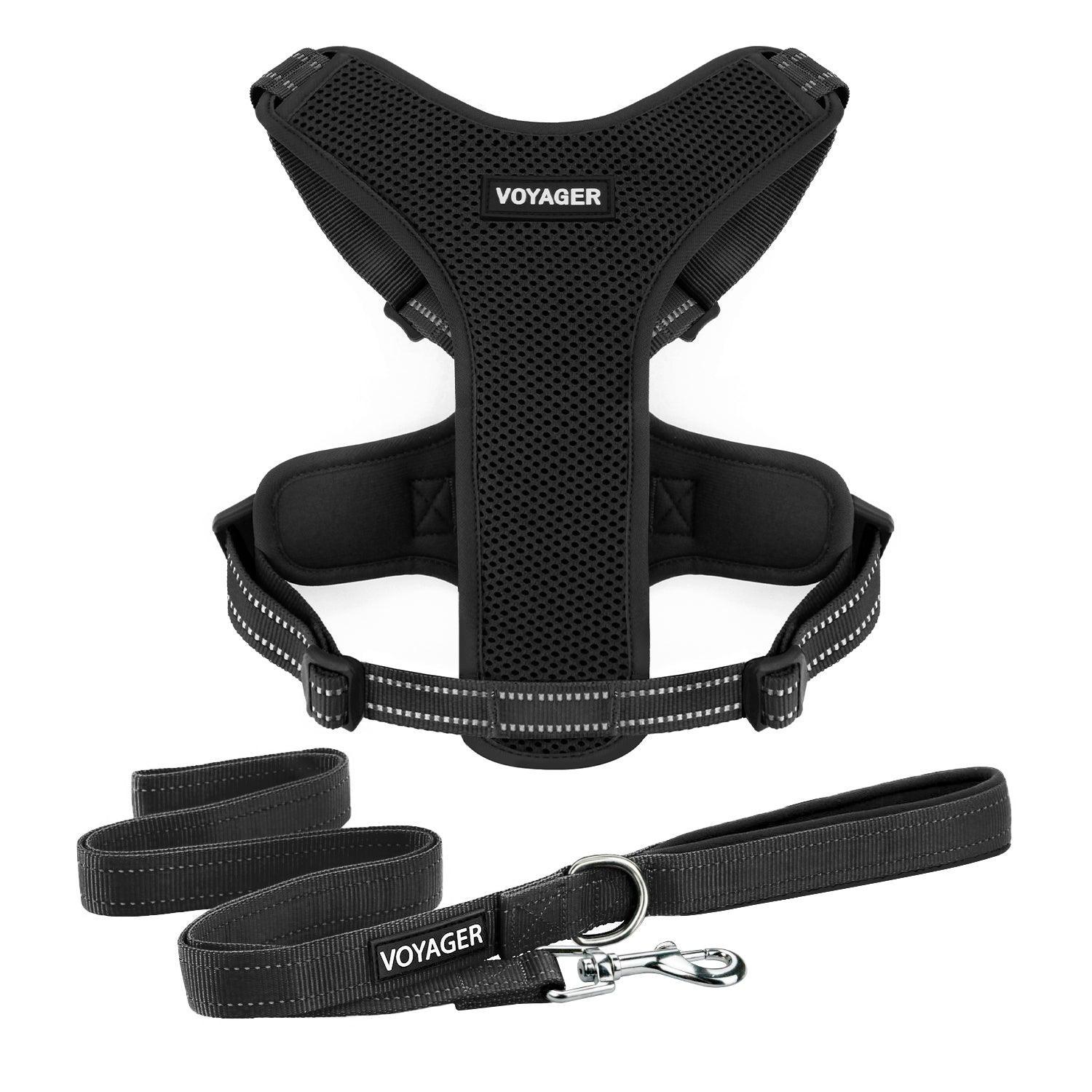 Voyager Air Frontier Mesh Harness And Leash Set - VOYAGER Dog Harnesses