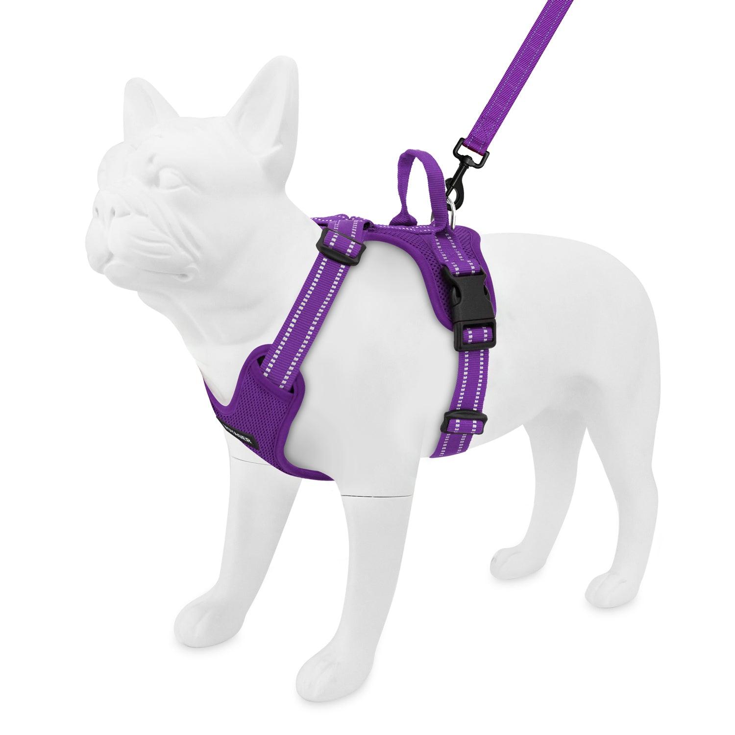 Halloween Air Frontier Harness And Leash Set - VOYAGER Dog Harnesses