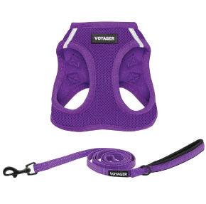 Halloween Step-in Air Harness & Leash Set - VOYAGER Dog Harnesses