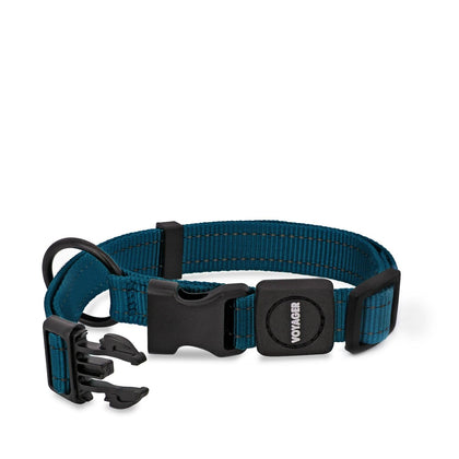 Voyager Leash and Collar Set - VOYAGER Dog Harnesses