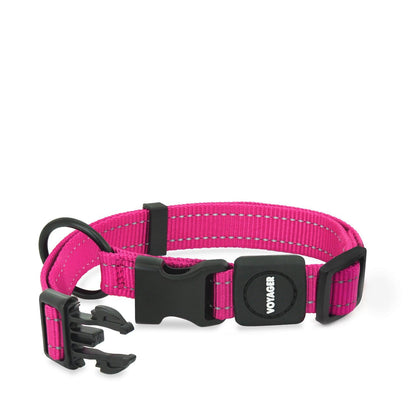 Voyager Leash and Collar Set - VOYAGER Dog Harnesses