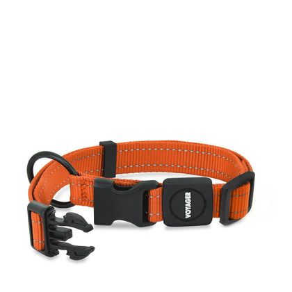 Voyager Leash and Collar Set - VOYAGER Dog Harnesses