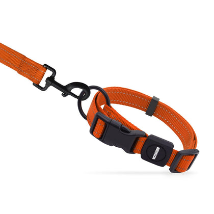 Voyager Leash and Collar Set - VOYAGER Dog Harnesses