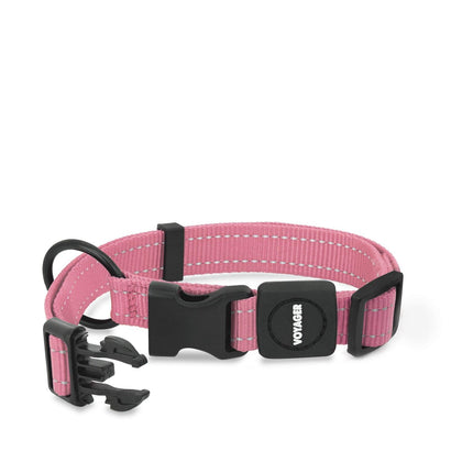 Voyager Leash and Collar Set - VOYAGER Dog Harnesses