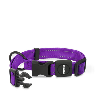 Voyager Leash and Collar Set - VOYAGER Dog Harnesses