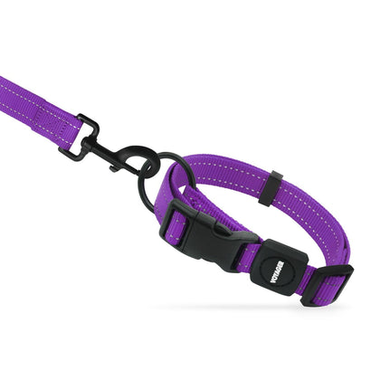 Voyager Leash and Collar Set - VOYAGER Dog Harnesses