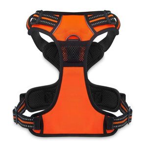 VOYAGER Dual-Attachment Dog Harness in Orange - Back